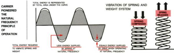 Natural Frequency Principle